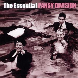 CD Shop - PANSY DIVISION ESSENTIAL PANSY DIVISION
