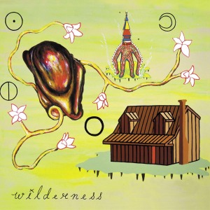 CD Shop - WILDERNESS 7-LIVING THROUGH
