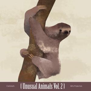CD Shop - CASTANETS/DIRTY PROJECTOR UNUSUAL ANIMALS 2 -10\