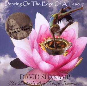 CD Shop - SURKAMP, DAVID DANCING ON THE EDGE OF A