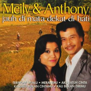 CD Shop - MEILY & ANTHONY JAUH DI MATA DEKAT DI HAT