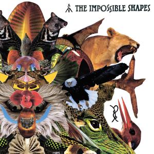 CD Shop - IMPOSSIBLE SHAPES IMPOSSIBLE SHAPES