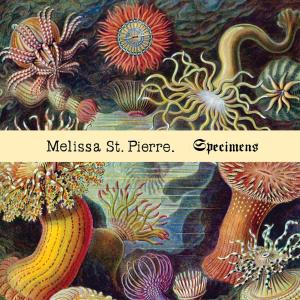 CD Shop - ST. PIERRE, MELISSA SPECIMENS -MCD-