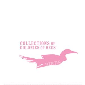 CD Shop - COLLECTIONS OF COLONIES O BIRDS