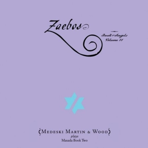 CD Shop - MEDESKI, MARTIN & WOOD ZEABOS:BOOK OF ANGELS 11