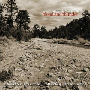 CD Shop - IRWIN, AARON -GROUP- BLOOD AND THUNDER