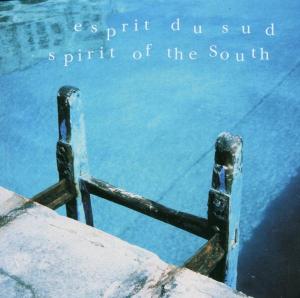 CD Shop - V/A SPIRIT OF THE SOUTH