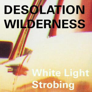 CD Shop - DESOLATION WILDERNESS WHITE LIGHT STROBING