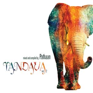 CD Shop - PATHAAN TANDAVA V.2