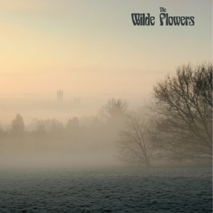 CD Shop - WILDE FLOWERS WILDE FLOWERS