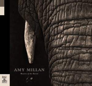 CD Shop - MILLAN, AMY MASTERS OF THE BURIAL