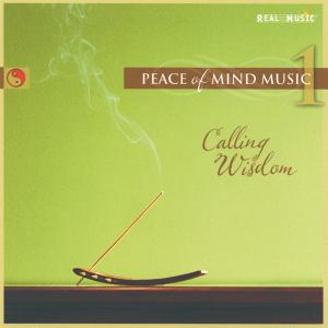 CD Shop - V/A PEACE OF MIND MUSIC 1