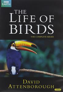 CD Shop - DOCUMENTARY/BBC LIFE OF BIRDS