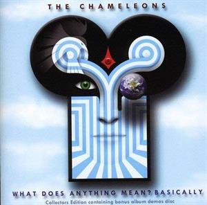 CD Shop - CHAMELEONS WHAT DOES ANYTHING MEAN