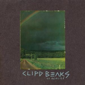 CD Shop - CLIPD BEAKS TO REALIZE
