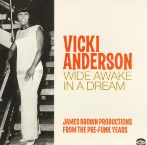 CD Shop - ANDERSON, VICKI WIDE AWAKE IN A DREAM