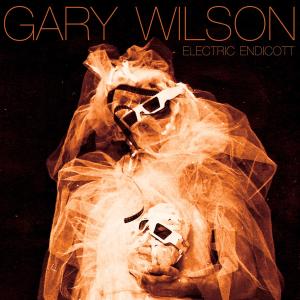 CD Shop - WILSON, GARY ELECTRIC ENDICOTT