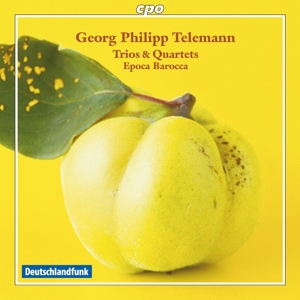 CD Shop - TELEMANN, G.P. TRIOS & QUARTETS