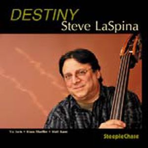 CD Shop - LASPINA, STEVE DESTINY