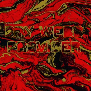 CD Shop - WEBB, BRY PROVIDER
