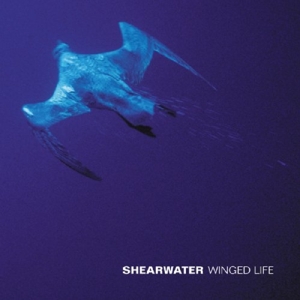 CD Shop - SHEARWATER WINGED LIFE