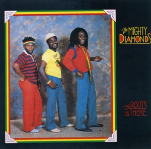 CD Shop - MIGHTY DIAMONDS ROOTS IS THERE