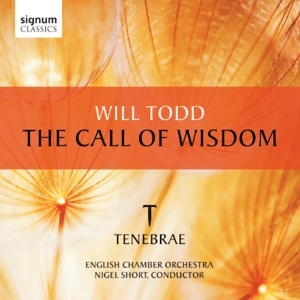 CD Shop - TODD, W. CALL OF WISDOM