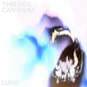 CD Shop - LUKID THIS DOG CAN SWIM