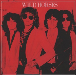 CD Shop - WILD HORSES WILD HORSES