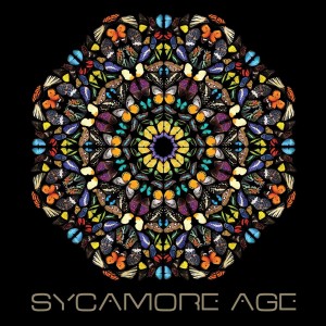 CD Shop - SYCAMORE AGE SYCAMORE AGE