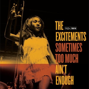 CD Shop - EXCITEMENTS SOMETIMES TOO MUCH AIN\