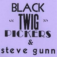 CD Shop - BLACK TWIG PICKERS/STEVE LONESOME VALLEY