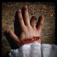 CD Shop - COLD SNAP PERFECTION