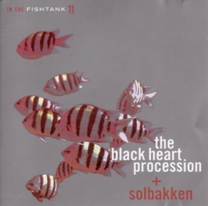 CD Shop - BLACK HEART PROCESSION/SO IN THE FISHTANK