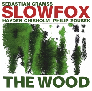 CD Shop - CHRISHOLM, HAYDEN/PHILIP SLOW FOX