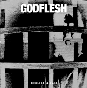CD Shop - GODFLESH DECLINE & FALL