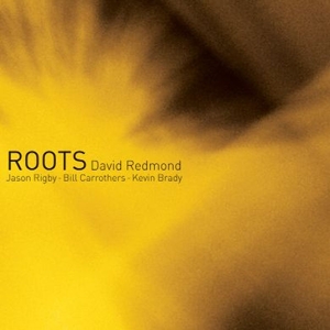 CD Shop - REDMOND, DAVID ROOTS