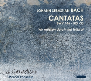 CD Shop - BACH, JOHANN SEBASTIAN CANTATAS VOL.4
