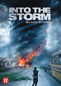 CD Shop - MOVIE INTO THE STORM