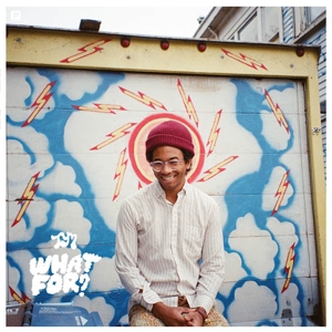CD Shop - TORO Y MOI WHAT FOR