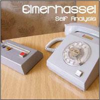CD Shop - ELMERHASSEL SELF ANALYSIS