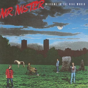 CD Shop - MR. MISTER WELCOME TO THE REAL WORLD