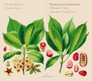 CD Shop - GASPARINI, F. MIRENA & FLORO