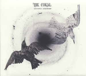 CD Shop - CORAL, THE DISTANCE INBETWEEN LTD.
