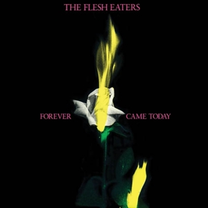 CD Shop - FLESH EATERS FOREVER CAME TODAY