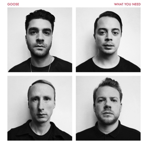 CD Shop - GOOSE WHAT YOU NEED