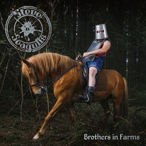 CD Shop - STEVE N SEAGULLS BROTHERS IN FARMS
