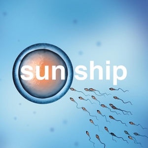 CD Shop - BRIAN JONESTOWN MASSACRE \"SUN SHIP-10\"\"\"