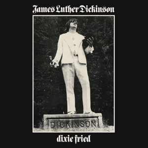 CD Shop - DICKINSON, JAMES LUTHER DIXIE FRIED