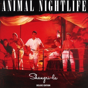CD Shop - ANIMAL NIGHTLIFE SHANGRI-LA